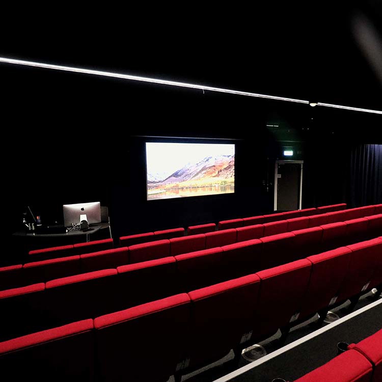 Cinema