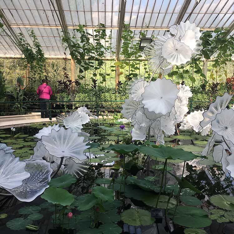 Pond in kew gardens